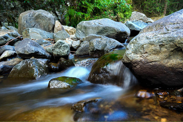 Stoney Creek in Bellthorpe National Park